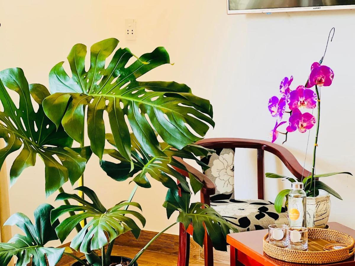 Appartement Thuy House Hội An Extérieur photo